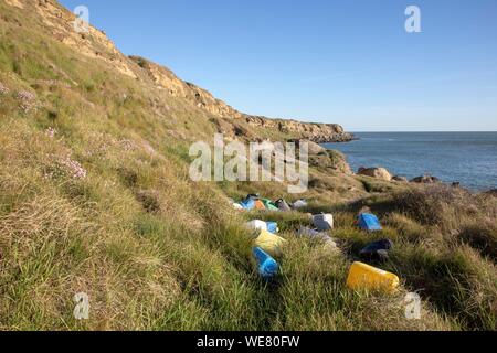 Francia, Pas de Calais, Côte d'Opale, Parc naturel regional des Caps et Marais d'Opale, cap gris nez, Audinghen, lattine di rimbalzo del mare Foto Stock