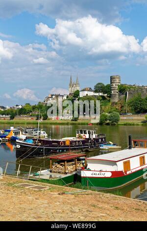 Francia, Maine et Loire, Angers, il porto fluviale e il castello dei duchi di Angiò, Saint Maurice cattedrale in background Foto Stock