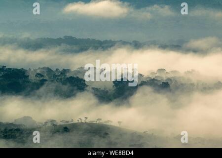 Burundi, Ruvubu National Park, nebbia di mattina Foto Stock