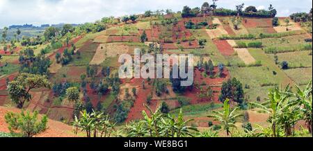 Burundi, Buyenzi, vassoi, paese con mille colline Foto Stock