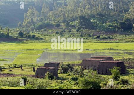 Burundi, Buyenzi, vassoi, paese con un migliaio di colline, forno di mattoni Foto Stock