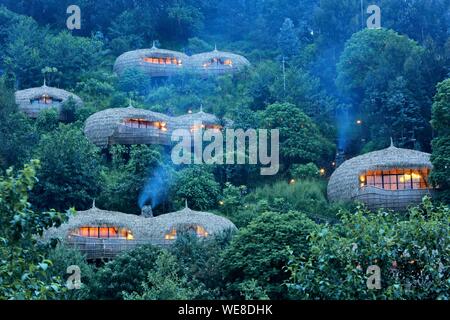 Ruanda, Parco Nazionale Vulcani, con tetto di paglia di ville di Bisote lodge del Wildreness Safaris hotel group, emergenti da una collina ricoperta di vegetazione Foto Stock