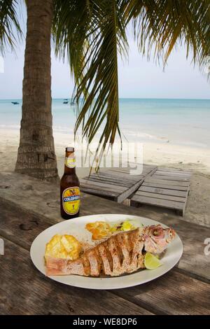 La Colombia, Isola di Providencia, Suroeste ristorante sulla spiaggia di fronte al Mar dei Caraibi, piastra di grigliate di pesce accompagnati da una birra in Colombia Foto Stock