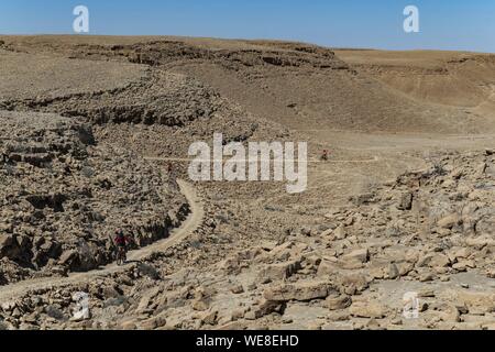 Israele, Sud distretto, deserto del Negev, Mitzpe Ramon o Ramon Crator Foto Stock