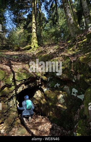 Francia, Haute Saône, Plancher les Mines, Laurier circuito di data mining, foresta, galleria di ingresso Foto Stock