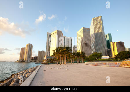 Bayfront Park e la skyline del centro, Miami, Florida, Stati Uniti d'America Foto Stock