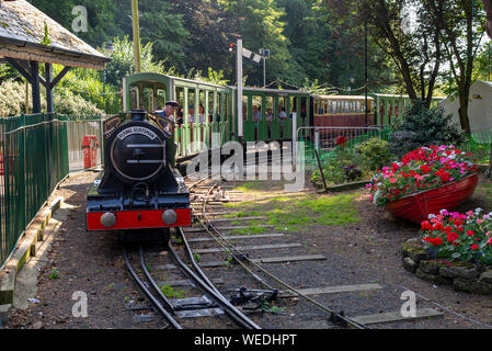 La gente a cavallo di un Flying Scotsman treno a vapore replica sulla ferrovia in miniatura, North Bay, Scarborough, North Yorkshire, Regno Unito Foto Stock