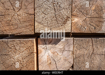 Le estremità delle barre di legno. Legno Taglio texture closeup. Foto Stock