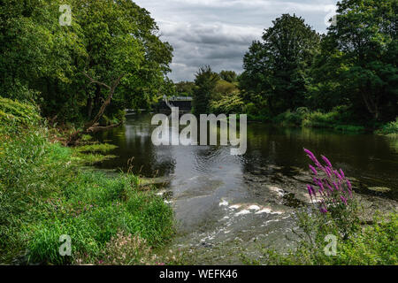 Aldwarke Weir al lavaggio, Rotherham,South Yorkshire. Foto Stock