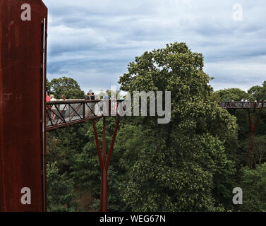 Passeggiando per le cime degli alberi di Kew Gardens a Londra Foto Stock