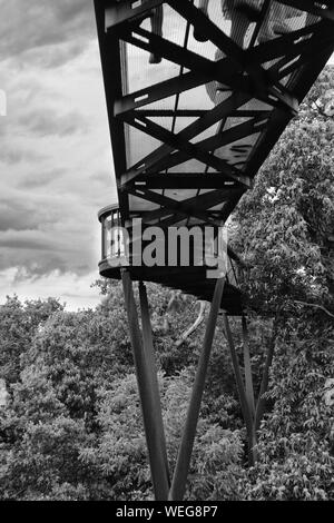 Passeggiando per le cime degli alberi di Kew Gardens a Londra Foto Stock