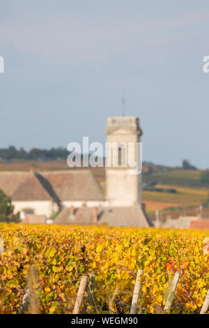 Pommard villaggio chiesa vicino a Beaune sulla grande strada dei vini della Borgogna, in Francia, in autunno Foto Stock