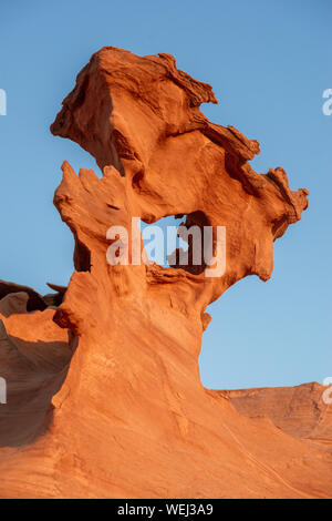 Stati Uniti d'America, Nevada, Clark County, Gold Butte National Monument. Il vento bruciato frastagliate di formazione del foro nella roccia sculture in pietra arenaria rossa di poco Foto Stock