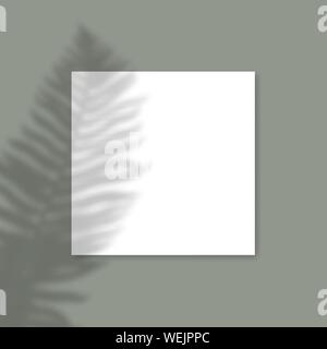 Carta quadrata Mockup con ombre realistiche le sovrapposizioni foglia di felce su sfondo verde. Ombra del vettore di una pianta tropicale. Modello pieghevole, Poster, vuoto Illustrazione Vettoriale