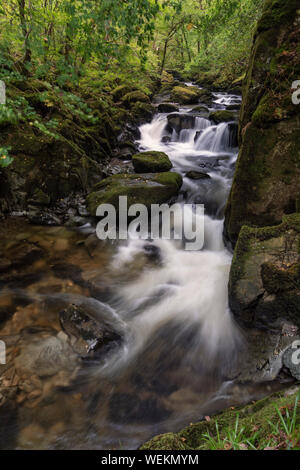 Cascate sul torrente a piedi in Snowdonia vicino a Dollgellau Foto Stock