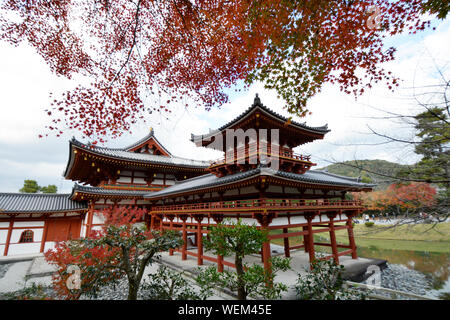 Tempio buddista a Kyoto in Giappone con il rosso acero Foto Stock