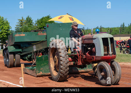 Dundas, Prince Edward Island / Canada - Agosto 25, 2019: i concorrenti con i loro trattori tira una slitta di ponderata nel trattore annuale tirare competito Foto Stock