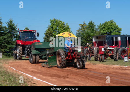 Dundas, Prince Edward Island / Canada - Agosto 25, 2019: i concorrenti con i loro trattori tira una slitta di ponderata nel trattore annuale tirare competito Foto Stock