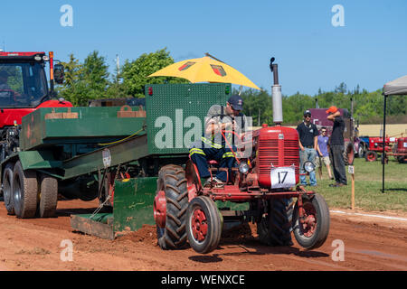 Dundas, Prince Edward Island / Canada - Agosto 25, 2019: i concorrenti con i loro trattori tira una slitta di ponderata nel trattore annuale tirare competito Foto Stock