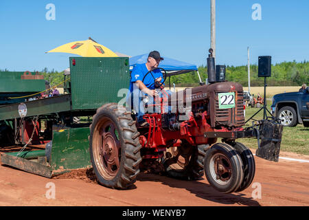 Dundas, Prince Edward Island / Canada - Agosto 25, 2019: i concorrenti con i loro trattori tira una slitta di ponderata nel trattore annuale tirare competito Foto Stock