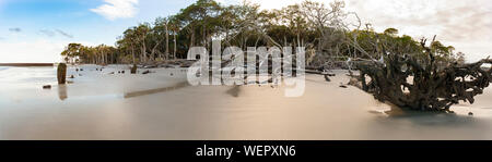 180 panorama gradi di spiaggia selvaggia in Carolina del Sud Foto Stock