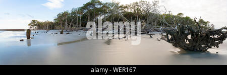 180 grado panorama della spiaggia e foresta marittima Foto Stock