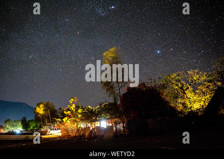 Il lago Malawi a Monkey Bay, stelle brilla luminosa, galassia di Andromeda, alberi e palme illuminata, sud-est-africa Foto Stock