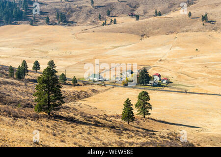 Paesaggio della pianura nella valle nascosta con terreno giallastro e alcuni alberi e i ranch in Cle Elum Foto Stock