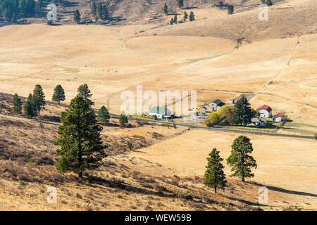 Paesaggio della pianura nella valle nascosta con terreno giallastro e alcuni alberi e i ranch in Cle Elum Foto Stock