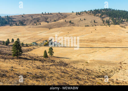 Paesaggio della pianura nella valle nascosta con terreno giallastro e alcuni alberi e i ranch in Cle Elum Foto Stock