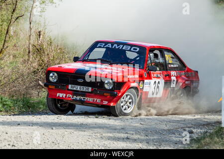 Una Ford Escort Mkii rally corse in auto attraverso la foresta Dyfnant sulle pianure di rally in Galles del Nord Foto Stock