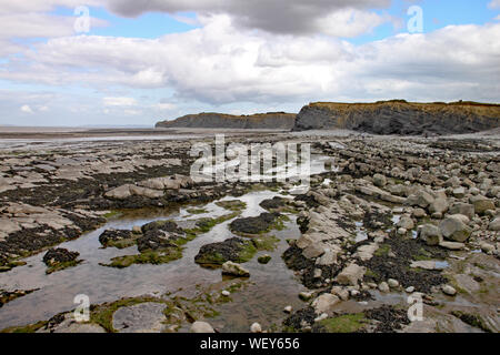 Le rocce su Kilve spiaggia vicino Oriente Quantoxhead nel Somerset, Inghilterra. Strati sovrapposti di roccia risalgono all'era giurassica e sono un paradiso per i combustibili Foto Stock