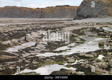 Le rocce su Kilve spiaggia vicino Oriente Quantoxhead nel Somerset, Inghilterra. Strati sovrapposti di roccia risalgono all'era giurassica e sono un paradiso per i combustibili Foto Stock