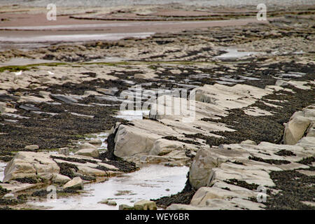 Le rocce su Kilve spiaggia vicino Oriente Quantoxhead nel Somerset, Inghilterra. Strati sovrapposti di roccia risalgono all'era giurassica e sono un paradiso per i combustibili Foto Stock