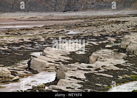 Le rocce su Kilve spiaggia vicino Oriente Quantoxhead nel Somerset, Inghilterra. Strati sovrapposti di roccia risalgono all'era giurassica e sono un paradiso per i combustibili Foto Stock