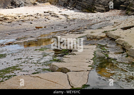 Le rocce su Kilve spiaggia vicino Oriente Quantoxhead nel Somerset, Inghilterra. Strati sovrapposti di roccia risalgono all'era giurassica e sono un paradiso per i combustibili Foto Stock