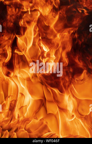 Blaze rosso fuoco sfondo naturale. Pericoloso firestorm texture astratta. La dispersione atmosferica, motion blur dal fuoco, alta temperatura Foto Stock