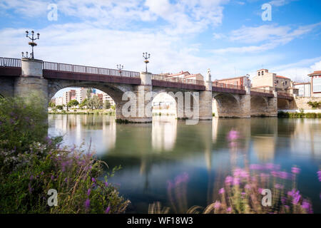 Ponte storico di Carlos III sul fiume Ebro in Miranda del Ebro, provincia di Burgos, Spagna Foto Stock