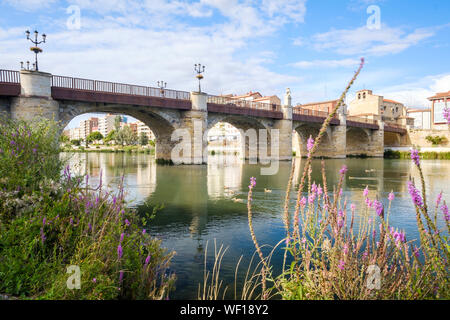 Ponte storico di Carlos III sul fiume Ebro in Miranda del Ebro, provincia di Burgos, Spagna Foto Stock