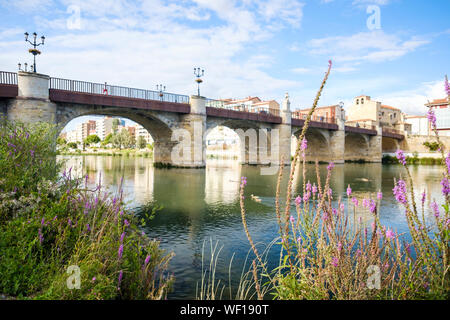 Ponte storico di Carlos III sul fiume Ebro in Miranda del Ebro, provincia di Burgos, Spagna Foto Stock