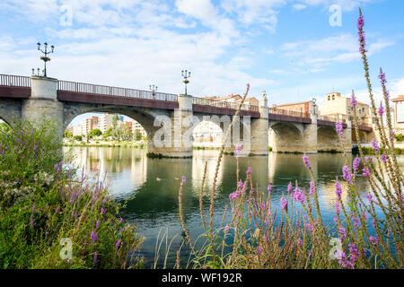 Ponte storico di Carlos III sul fiume Ebro in Miranda del Ebro, provincia di Burgos, Spagna Foto Stock