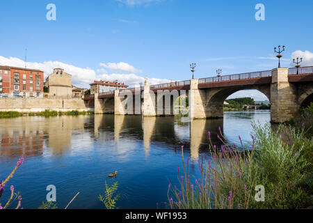 Ponte storico di Carlos III sul fiume Ebro in Miranda del Ebro, provincia di Burgos, Spagna Foto Stock