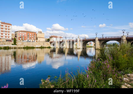 Ponte storico di Carlos III sul fiume Ebro in Miranda del Ebro, provincia di Burgos, Spagna Foto Stock