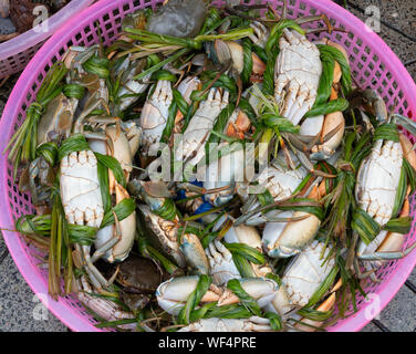 Rosa cesto in plastica contenente il guscio morbido di granchi di vendita in un mercato all'aperto in Hoi An Vietnam. Foto Stock