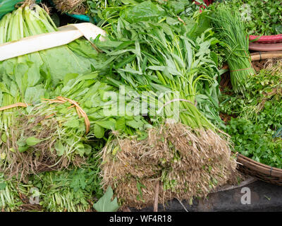 Acqua gli spinaci, il coriandolo, lemon grass e altri foglia verde verdura presso un mercato all'aperto in Vietnam. Foto Stock