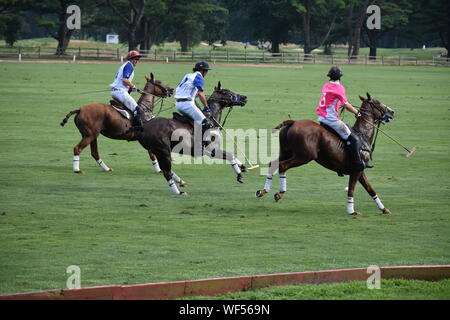 Evento di polo Foto Stock