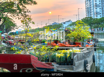 Sunset boat dock il mercato dei fiori lungo Canal wharf. Questo è il posto gli agricoltori vendono albicocca e altri fiori sul nuovo anno lunare in Ho Chi Minh City, Vietnam Foto Stock