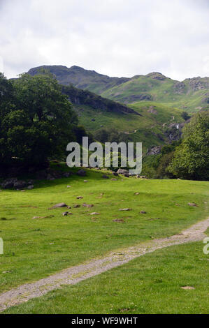 Sourmilk Gill e la Wainwright Tarn roccioso dal percorso di Easedale Tarn vicino a Grasmere nel Parco Nazionale del Distretto dei Laghi, Cumbria, Inghilterra, Regno Unito. Foto Stock