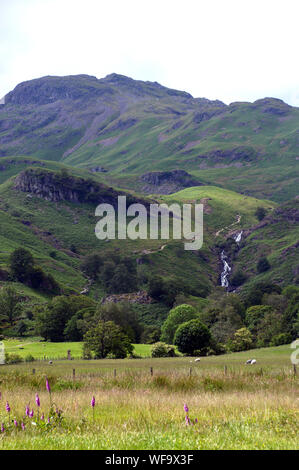 Sourmilk Gill e la Wainwright Tarn roccioso dal percorso di Easedale Tarn vicino a Grasmere nel Parco Nazionale del Distretto dei Laghi, Cumbria, Inghilterra, Regno Unito. Foto Stock