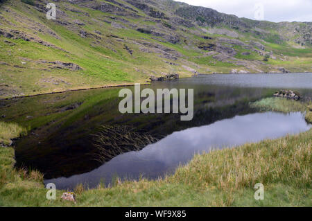 Lang falesia riflessa nelle acque ancora di Codale Tarn dal percorso per il Wainwright Tarn roccioso nel Parco Nazionale del Distretto dei Laghi, Cumbria, England, Regno Unito Foto Stock